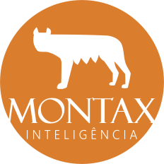 Montax Inteligência Financeira